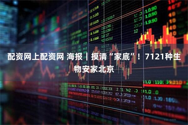 配资网上配资网 海报｜摸清“家底”！7121种生物安家北京